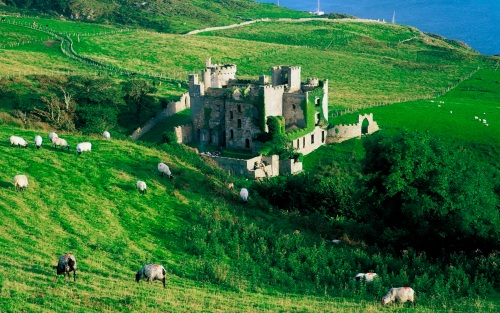 Castle in Ireland